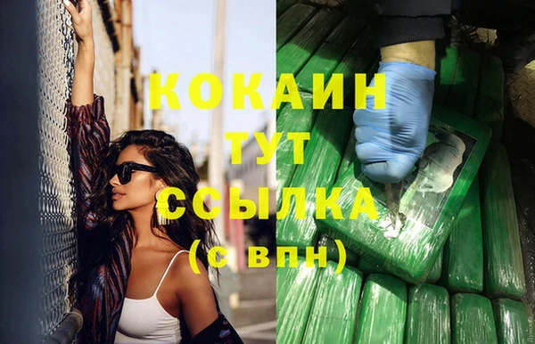 соль ск Алексин